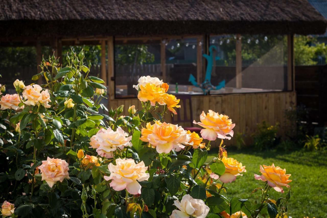 Zen Eco Villa Sfantu Gheorghe  Luaran gambar
